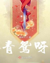 青鸳呀小说阅读