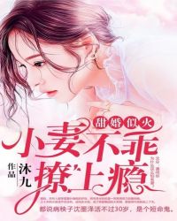 甜婚似火：小妻不乖，撩上瘾小说阅读