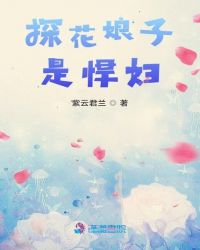 探花娘子是悍妇