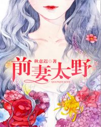 前妻太野小说阅读
