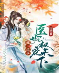 邪王追妻：医妃权宠天下 作者：泠婪