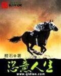 恣意人生 作者：醛石