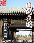 国之大贼 作者：黑椒炒三国