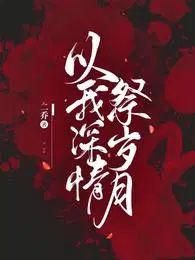 以我深情祭岁月小说