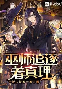 巫师追逐着真理小说阅读