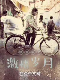 四合院之激情岁月小说阅读