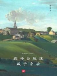 我将白玫瑰藏于身后小说阅读