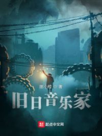 旧日音乐家小说阅读