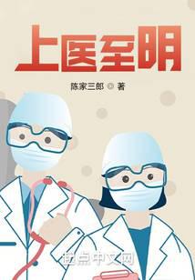 上医至明小说阅读