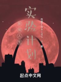 影视人生实验计划小说阅读