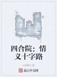 四合院：情义十字路小说阅读