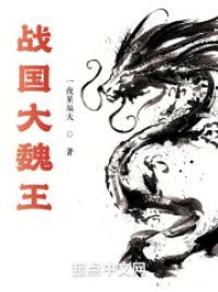 战国大魏王小说阅读