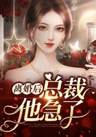离婚后，总裁他急了小说阅读