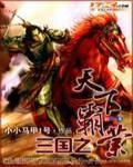 三国之天下霸业小说阅读
