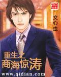 重生之商海惊涛小说阅读