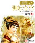 重生之侧妃夺宫小说阅读