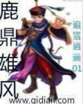 鹿鼎雄风小说阅读