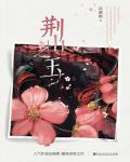 荆山之玉小说阅读