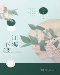 江海不渡小说阅读
