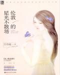 伦敦的星光不散场小说阅读