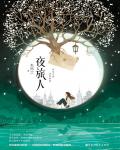 夜旅人小说阅读