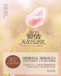 我们的爱情无处安放小说阅读