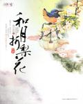 和月折梨花小说阅读