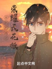 全职高手之荣耀天花板小说阅读