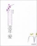 流年·爱小说阅读