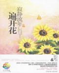 寂静流年遍开花小说阅读