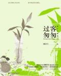 过客，匆匆小说阅读