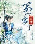 大唐第一家丁小说阅读