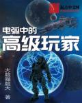 电弧中的高级玩家小说阅读