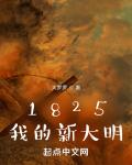 1825我的新大明小说阅读