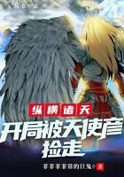 纵横诸天，开局被天使彦捡走小说阅读