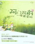 阿门阿前一棵葡萄树小说阅读
