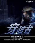 穿越者小说阅读