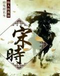宋师小说阅读