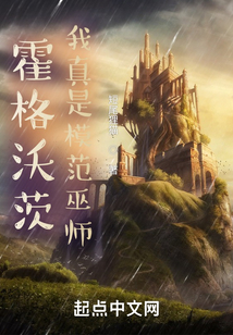 霍格沃茨：我真是模范巫师小说阅读