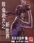 致命武力之新世界小说阅读