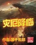 灾厄降临小说阅读
