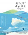 因为风就在那里小说阅读