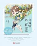 当爱情遇上科学家小说阅读
