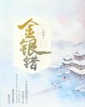 金银错小说阅读
