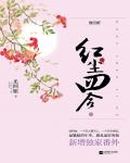 红尘四合小说阅读