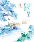 我站在桥上看风景小说阅读