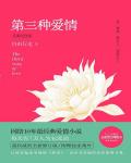 第三种爱情小说阅读