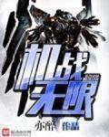 机战无限小说阅读