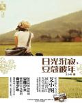 日光沉寂，豆蔻彼年小说阅读