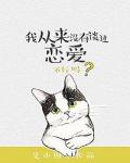 我从来没有谈过恋爱小说阅读